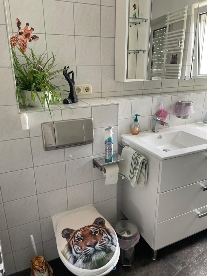 Moeblierte Wohnung Fuer Geschaeftsreisen/Ferienwohnung Plauen Stadtmitte Exterior photo